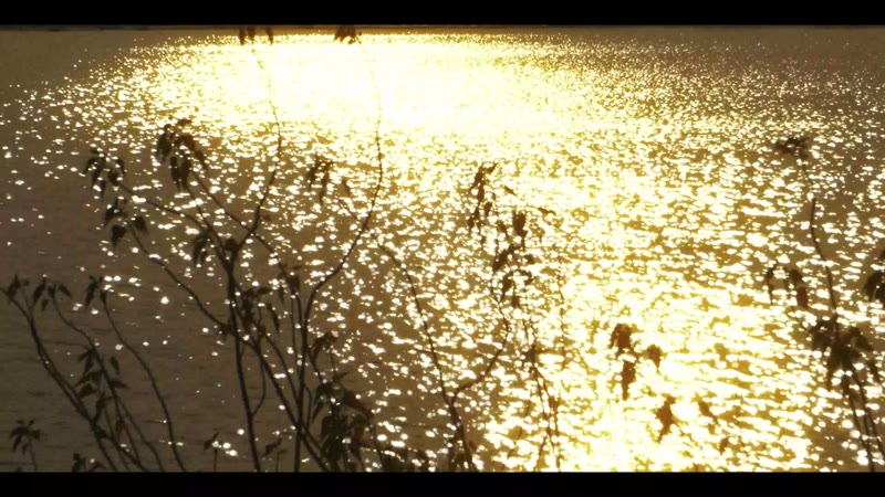 Music Video Ad 17